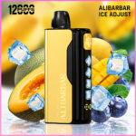 ALIBARBAR Ice Adjust 12000 Puffs