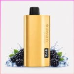 Alibarbar TEQ 12000 Puffs Blackberry Ice